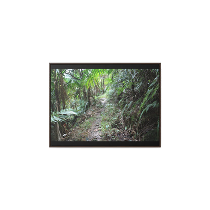 Rainforest Trails & Views - Gallery Canvas Wraps, Horizontal Frame - El Yunque National Forest - Puerto Rico - Early Tradewinds trail - Green Forest Home