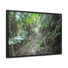 Rainforest Trails & Views - Gallery Canvas Wraps, Horizontal Frame - El Yunque National Forest - Puerto Rico - Early Tradewinds trail - Green Forest Home