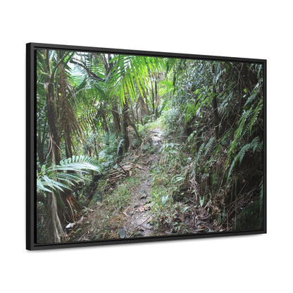 Rainforest Trails & Views - Gallery Canvas Wraps, Horizontal Frame - El Yunque National Forest - Puerto Rico - Early Tradewinds trail - Green Forest Home