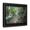 Rainforest Trails & Views - Gallery Canvas Wraps, Horizontal Frame - El Yunque National Forest - Puerto Rico - Early Tradewinds trail - Green Forest Home
