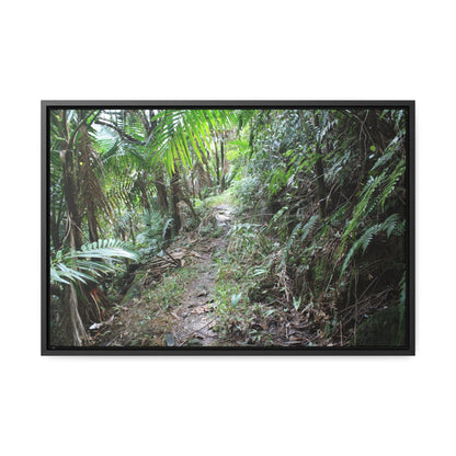 Rainforest Trails & Views - Gallery Canvas Wraps, Horizontal Frame - El Yunque National Forest - Puerto Rico - Early Tradewinds trail - Green Forest Home