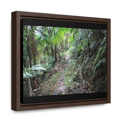 Rainforest Trails & Views - Gallery Canvas Wraps, Horizontal Frame - El Yunque National Forest - Puerto Rico - Early Tradewinds trail - Green Forest Home