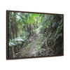 Rainforest Trails & Views - Gallery Canvas Wraps, Horizontal Frame - El Yunque National Forest - Puerto Rico - Early Tradewinds trail - Green Forest Home