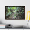 Rainforest Trails & Views - Gallery Canvas Wraps, Horizontal Frame - El Yunque National Forest - Puerto Rico - Early Tradewinds trail - Green Forest Home