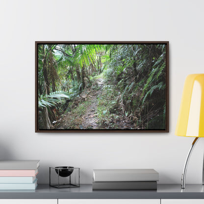 Rainforest Trails & Views - Gallery Canvas Wraps, Horizontal Frame - El Yunque National Forest - Puerto Rico - Early Tradewinds trail - Green Forest Home