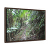 Rainforest Trails & Views - Gallery Canvas Wraps, Horizontal Frame - El Yunque National Forest - Puerto Rico - Early Tradewinds trail - Green Forest Home