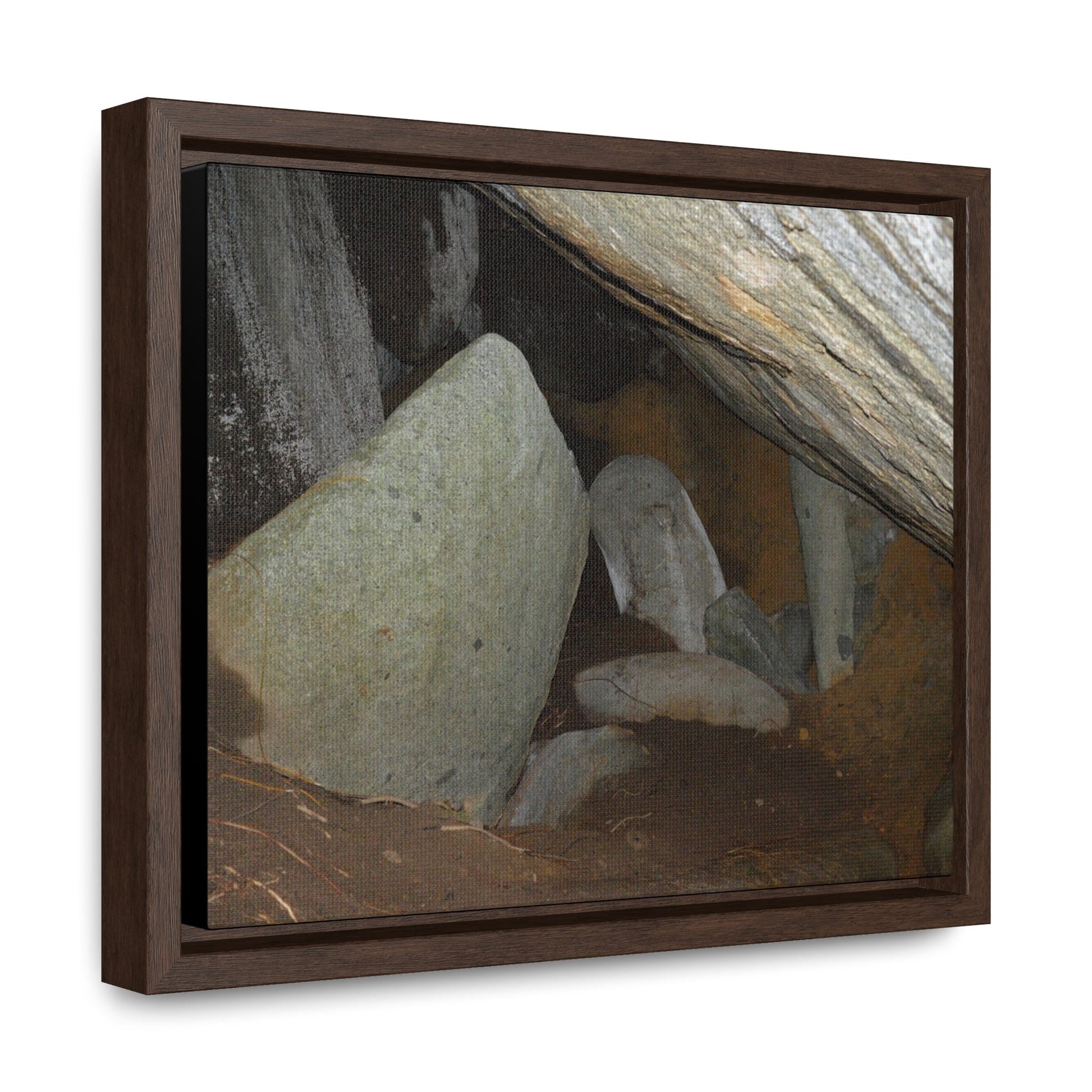 Rainforest Trails & Views - Gallery Canvas Wraps, Horizontal Frame - El Yunque National Forest - Puerto Rico - Early Tradewinds trail - rain tunnels - Green Forest Home