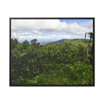 Rainforest Trails & Views - Gallery Canvas Wraps, Horizontal Frame - El Yunque National Forest - Puerto Rico - East peak access road view of old landslide now green - Green Forest Home