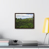 Rainforest Trails & Views - Gallery Canvas Wraps, Horizontal Frame - El Yunque National Forest - Puerto Rico - East peak access road view of old landslide now green - Green Forest Home