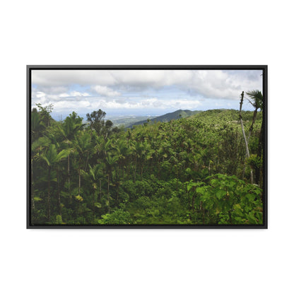 Rainforest Trails & Views - Gallery Canvas Wraps, Horizontal Frame - El Yunque National Forest - Puerto Rico - East peak access road view of old landslide now green - Green Forest Home
