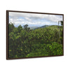 Rainforest Trails & Views - Gallery Canvas Wraps, Horizontal Frame - El Yunque National Forest - Puerto Rico - East peak access road view of old landslide now green - Green Forest Home