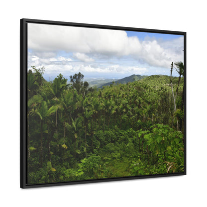Rainforest Trails & Views - Gallery Canvas Wraps, Horizontal Frame - El Yunque National Forest - Puerto Rico - East peak access road view of old landslide now green - Green Forest Home
