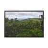 Rainforest Trails & Views - Gallery Canvas Wraps, Horizontal Frame - El Yunque National Forest - Puerto Rico - East peak access road view of old landslide now green - Green Forest Home