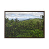 Rainforest Trails & Views - Gallery Canvas Wraps, Horizontal Frame - El Yunque National Forest - Puerto Rico - East peak access road view of old landslide now green - Green Forest Home