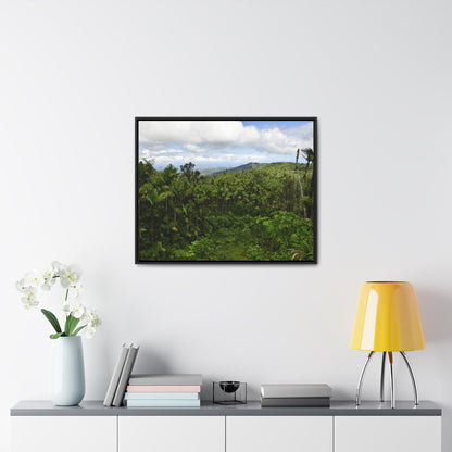 Rainforest Trails & Views - Gallery Canvas Wraps, Horizontal Frame - El Yunque National Forest - Puerto Rico - East peak access road view of old landslide now green - Green Forest Home