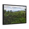 Rainforest Trails & Views - Gallery Canvas Wraps, Horizontal Frame - El Yunque National Forest - Puerto Rico - East peak access road view of old landslide now green - Green Forest Home