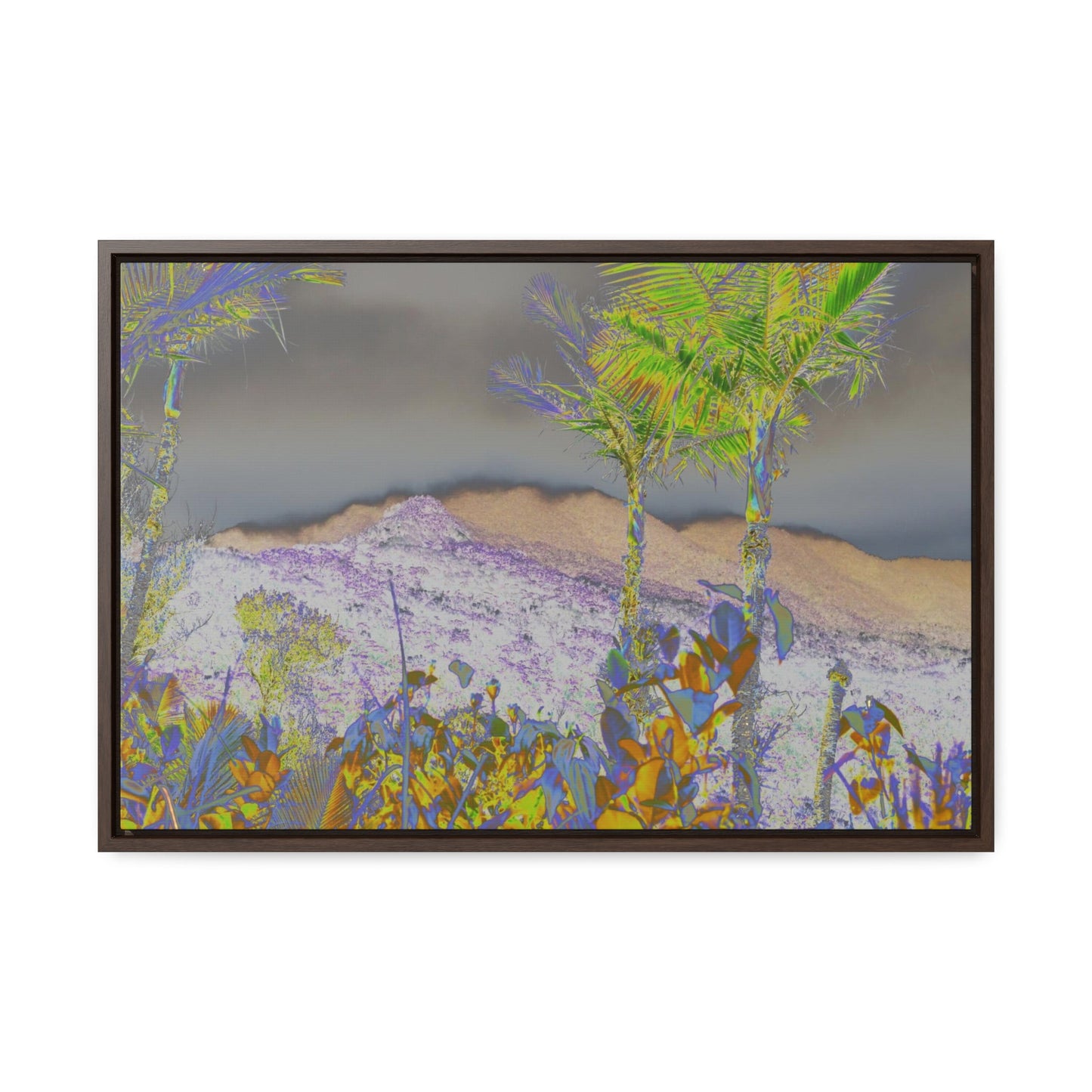 Rainforest Trails & Views - Gallery Canvas Wraps, Horizontal Frame - El Yunque National Forest - Puerto Rico - East Peak road view - color enhanced - Green Forest Home
