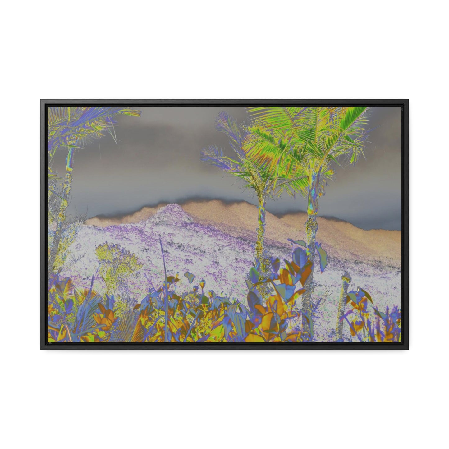Rainforest Trails & Views - Gallery Canvas Wraps, Horizontal Frame - El Yunque National Forest - Puerto Rico - East Peak road view - color enhanced - Green Forest Home