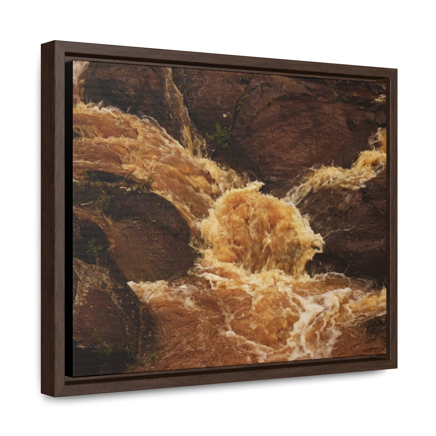 Rainforest Trails & Views - Gallery Canvas Wraps, Horizontal Frame - El Yunque National Forest - Puerto Rico - Flooded Rio Sabana River - Green Forest Home
