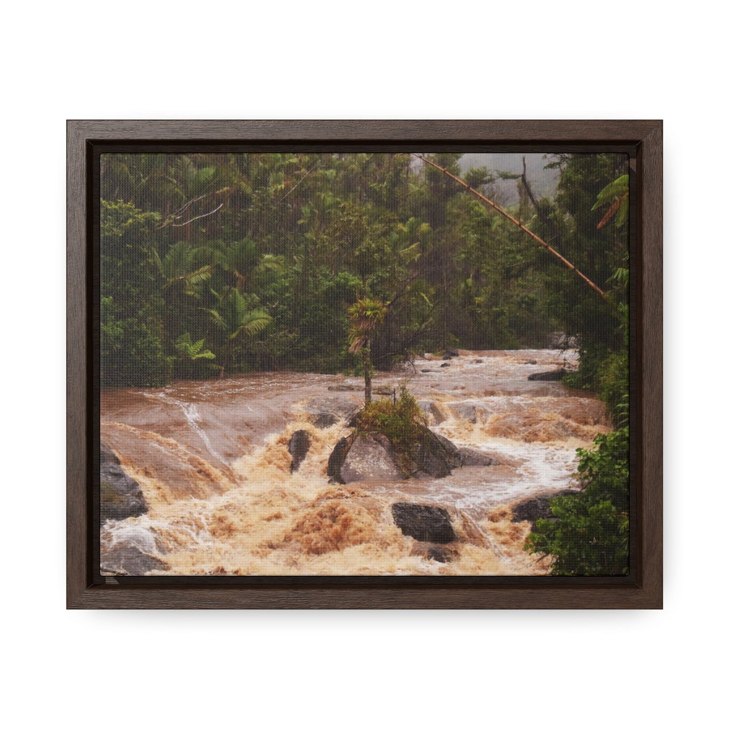 Rainforest Trails & Views - Gallery Canvas Wraps, Horizontal Frame - El Yunque National Forest - Puerto Rico - Flooded Rio Sabana River - Green Forest Home