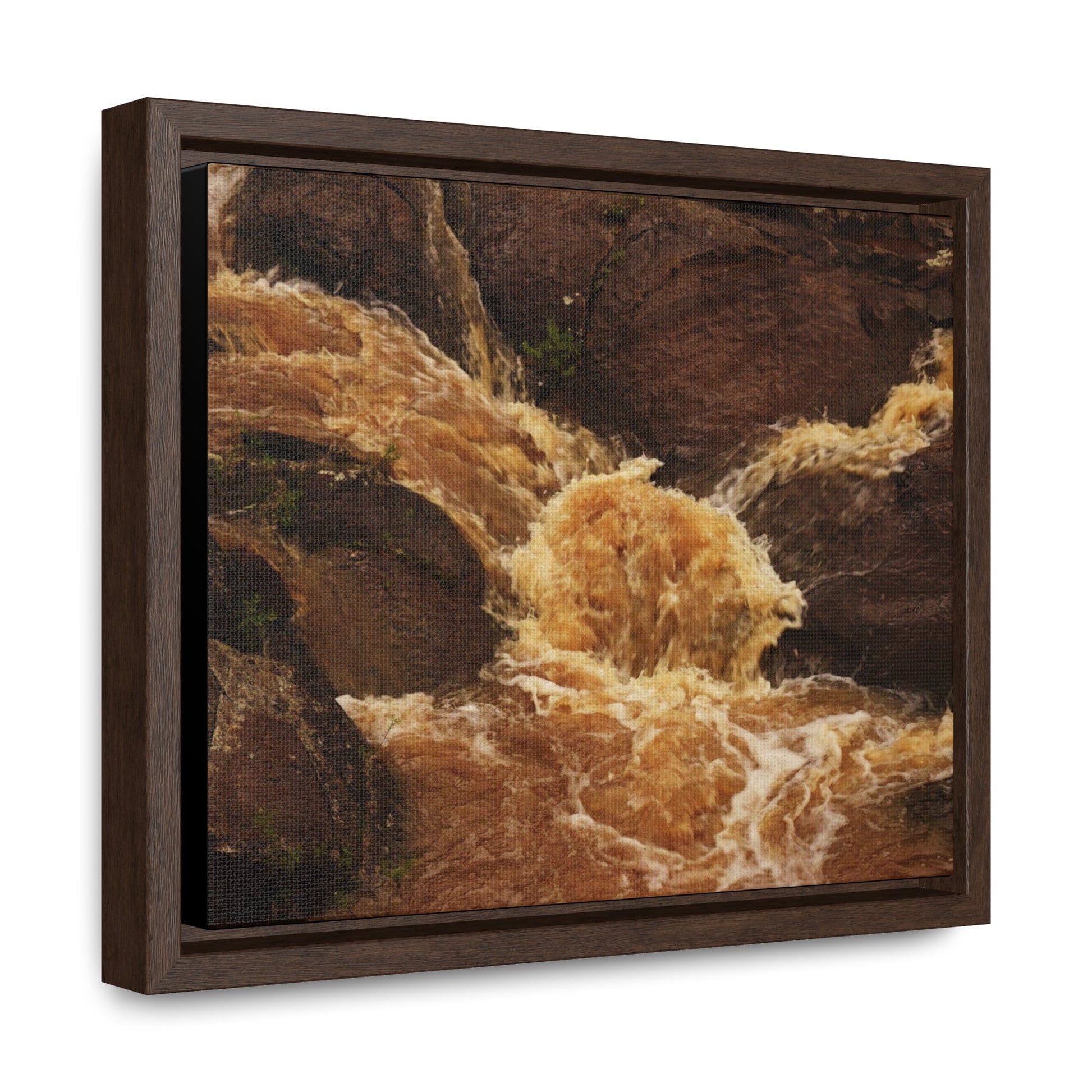 Rainforest Trails & Views - Gallery Canvas Wraps, Horizontal Frame - El Yunque National Forest - Puerto Rico - Flooded Rio Sabana River - Green Forest Home