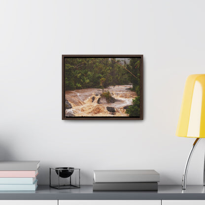 Rainforest Trails & Views - Gallery Canvas Wraps, Horizontal Frame - El Yunque National Forest - Puerto Rico - Flooded Rio Sabana River - Green Forest Home