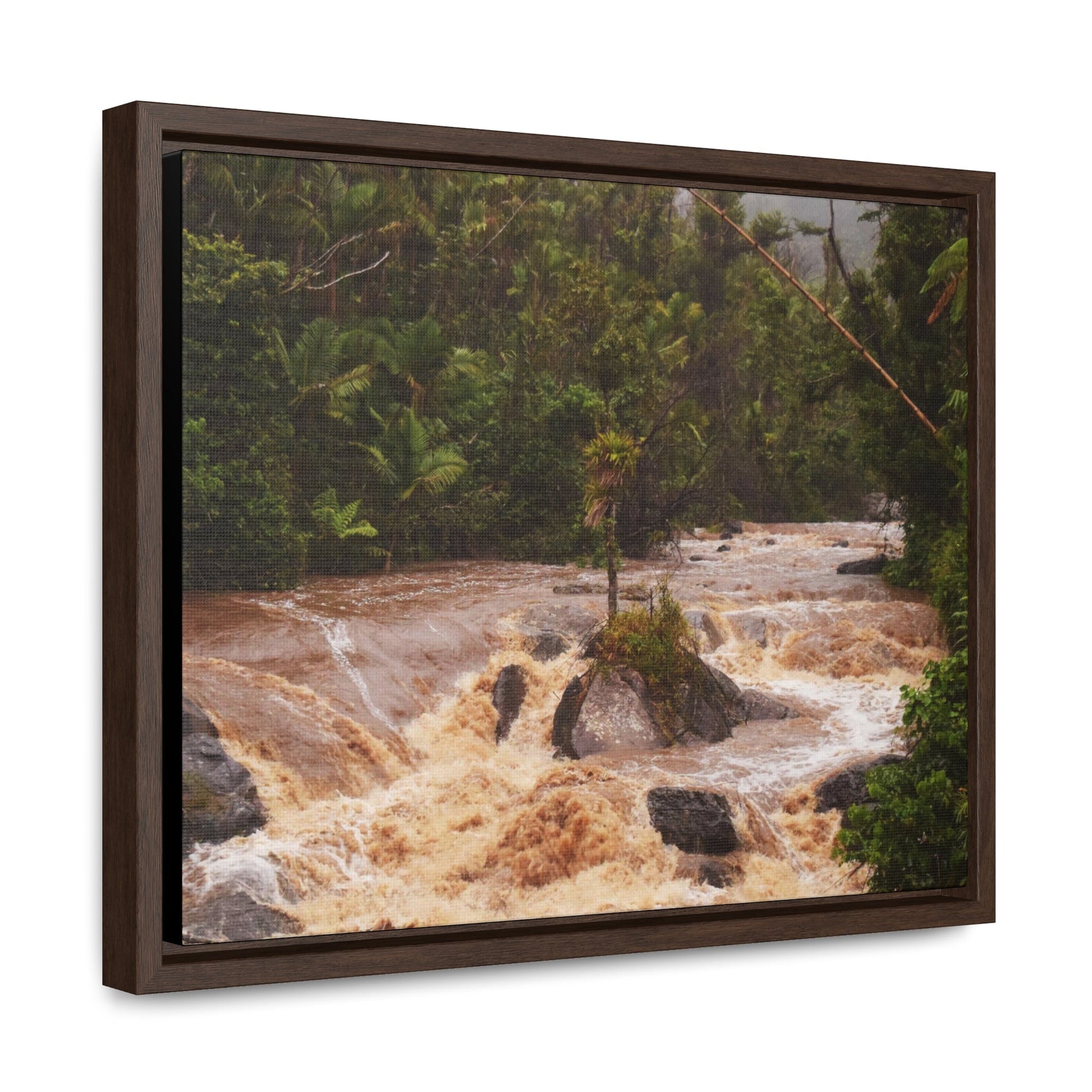 Rainforest Trails & Views - Gallery Canvas Wraps, Horizontal Frame - El Yunque National Forest - Puerto Rico - Flooded Rio Sabana River - Green Forest Home
