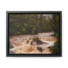 Rainforest Trails & Views - Gallery Canvas Wraps, Horizontal Frame - El Yunque National Forest - Puerto Rico - Flooded Rio Sabana River - Green Forest Home