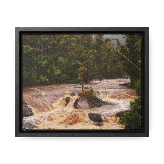 Rainforest Trails & Views - Gallery Canvas Wraps, Horizontal Frame - El Yunque National Forest - Puerto Rico - Flooded Rio Sabana River - Green Forest Home
