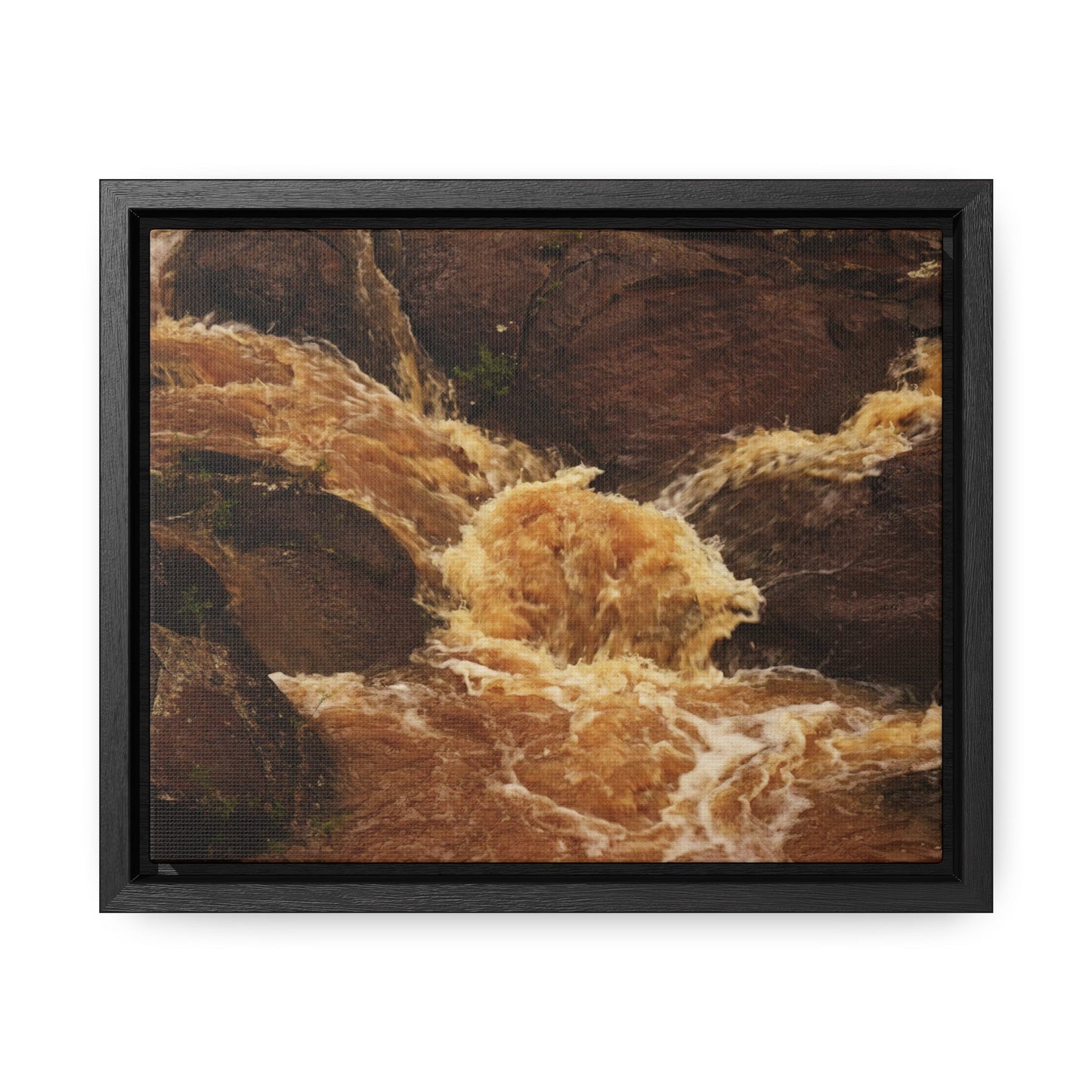 Rainforest Trails & Views - Gallery Canvas Wraps, Horizontal Frame - El Yunque National Forest - Puerto Rico - Flooded Rio Sabana River - Green Forest Home