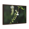 Rainforest Trails & Views - Gallery Canvas Wraps, Horizontal Frame - El Yunque National Forest - Puerto Rico - Flowers of El Yunque - Green Forest Home