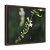 Rainforest Trails & Views - Gallery Canvas Wraps, Horizontal Frame - El Yunque National Forest - Puerto Rico - Flowers of El Yunque - Green Forest Home