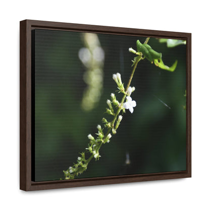 Rainforest Trails & Views - Gallery Canvas Wraps, Horizontal Frame - El Yunque National Forest - Puerto Rico - Flowers of El Yunque - Green Forest Home