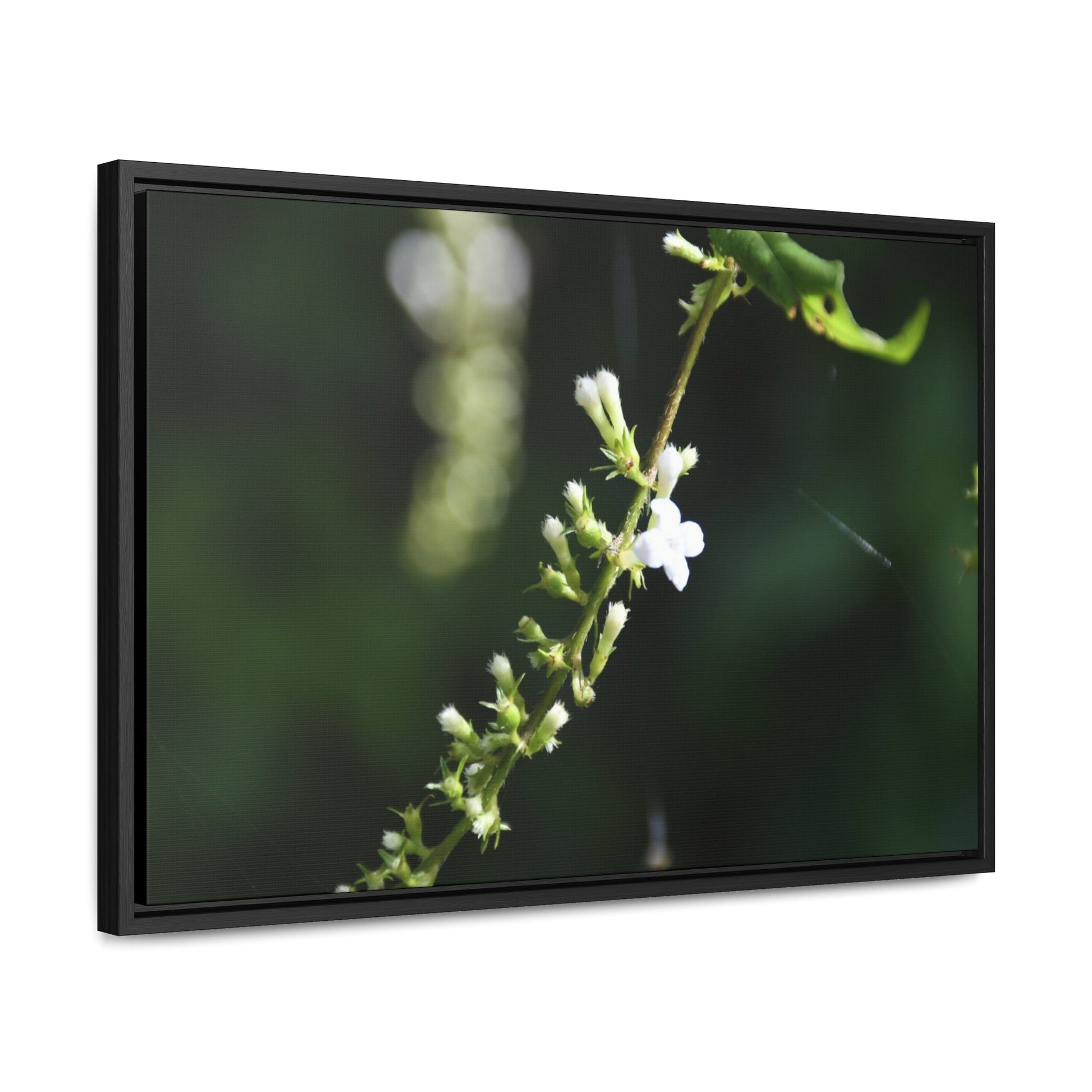 Rainforest Trails & Views - Gallery Canvas Wraps, Horizontal Frame - El Yunque National Forest - Puerto Rico - Flowers of El Yunque - Green Forest Home