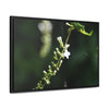Rainforest Trails & Views - Gallery Canvas Wraps, Horizontal Frame - El Yunque National Forest - Puerto Rico - Flowers of El Yunque - Green Forest Home