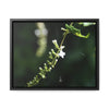 Rainforest Trails & Views - Gallery Canvas Wraps, Horizontal Frame - El Yunque National Forest - Puerto Rico - Flowers of El Yunque - Green Forest Home