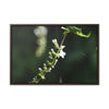 Rainforest Trails & Views - Gallery Canvas Wraps, Horizontal Frame - El Yunque National Forest - Puerto Rico - Flowers of El Yunque - Green Forest Home