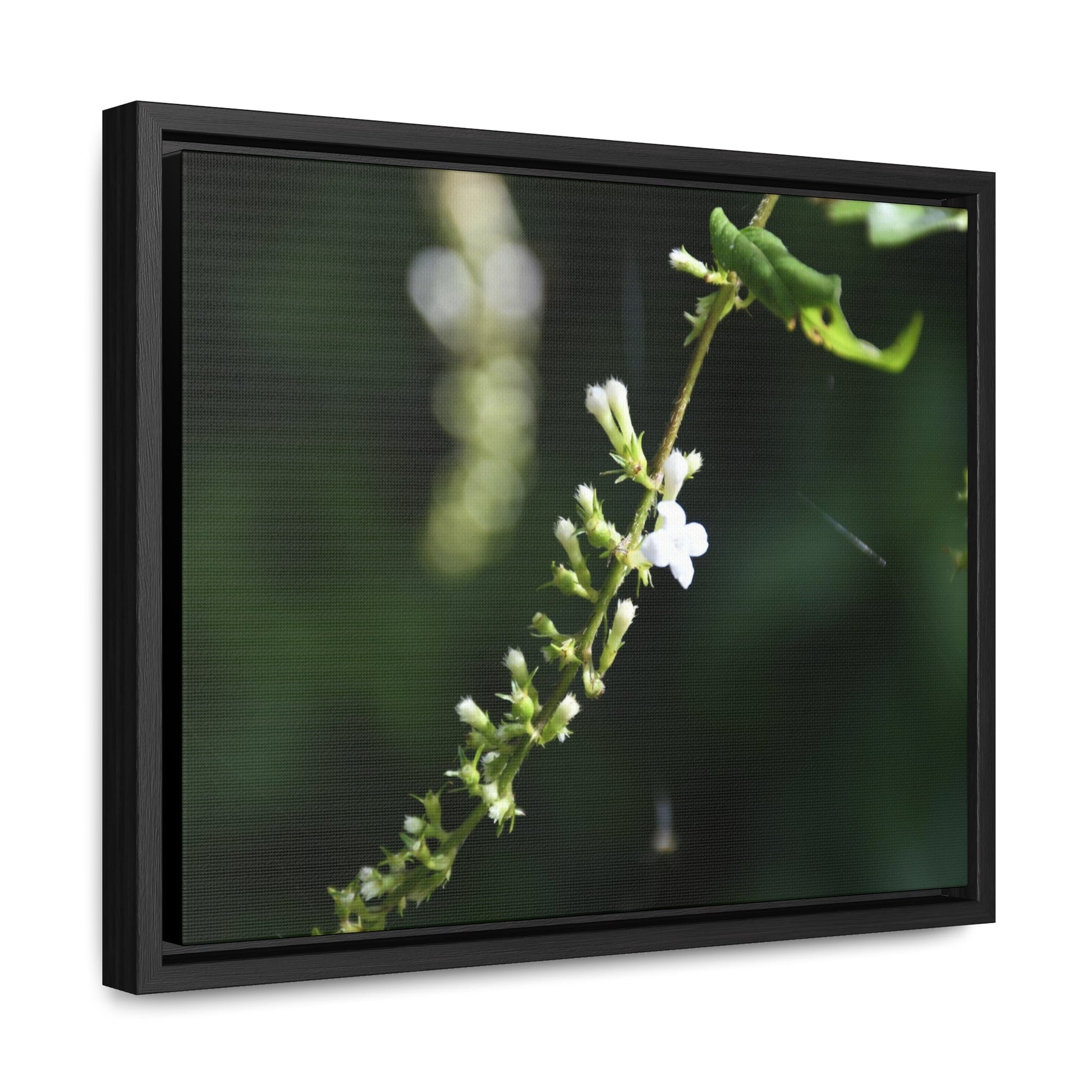 Rainforest Trails & Views - Gallery Canvas Wraps, Horizontal Frame - El Yunque National Forest - Puerto Rico - Flowers of El Yunque - Green Forest Home