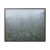Rainforest Trails & Views - Gallery Canvas Wraps, Horizontal Frame - El Yunque National Forest - Puerto Rico - Fog and rain pummel the Rio Sabana park - Green Forest Home