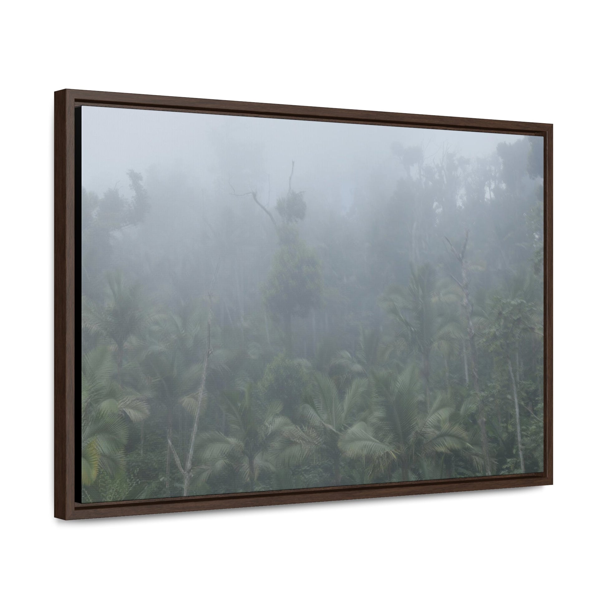 Rainforest Trails & Views - Gallery Canvas Wraps, Horizontal Frame - El Yunque National Forest - Puerto Rico - Fog and rain pummel the Rio Sabana park - Green Forest Home