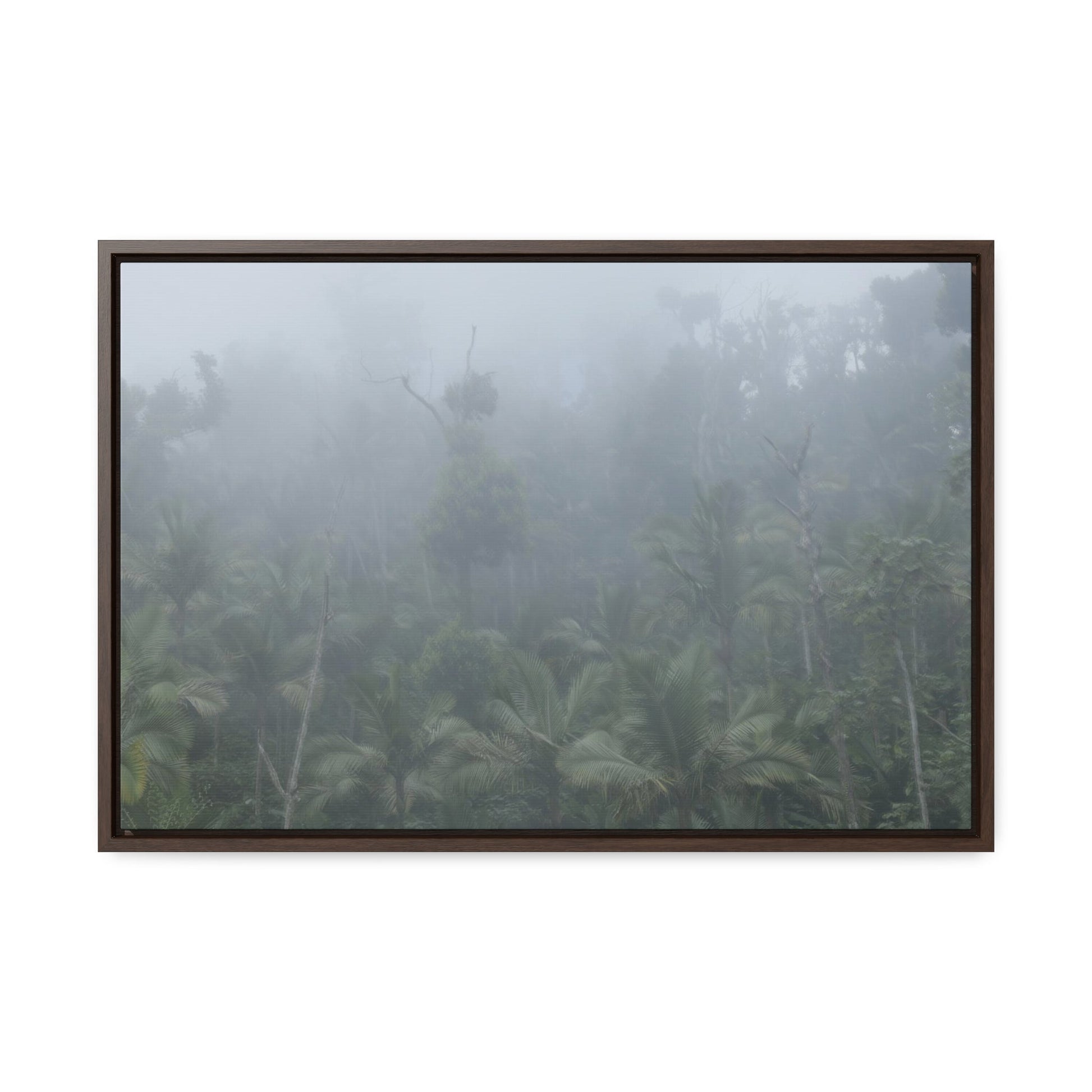 Rainforest Trails & Views - Gallery Canvas Wraps, Horizontal Frame - El Yunque National Forest - Puerto Rico - Fog and rain pummel the Rio Sabana park - Green Forest Home