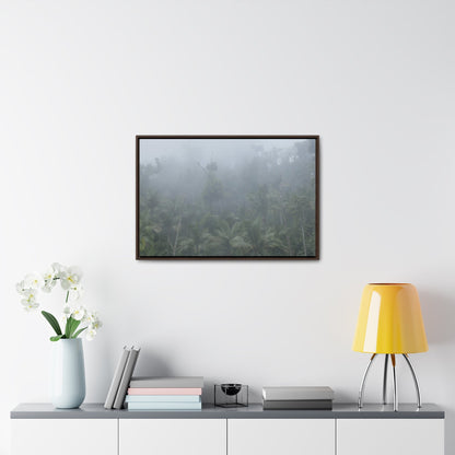 Rainforest Trails & Views - Gallery Canvas Wraps, Horizontal Frame - El Yunque National Forest - Puerto Rico - Fog and rain pummel the Rio Sabana park - Green Forest Home