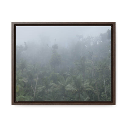 Rainforest Trails & Views - Gallery Canvas Wraps, Horizontal Frame - El Yunque National Forest - Puerto Rico - Fog and rain pummel the Rio Sabana park - Green Forest Home