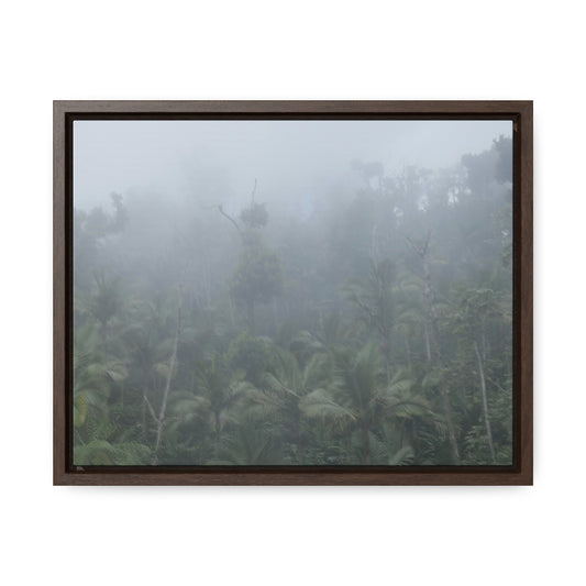 Rainforest Trails & Views - Gallery Canvas Wraps, Horizontal Frame - El Yunque National Forest - Puerto Rico - Fog and rain pummel the Rio Sabana park - Green Forest Home