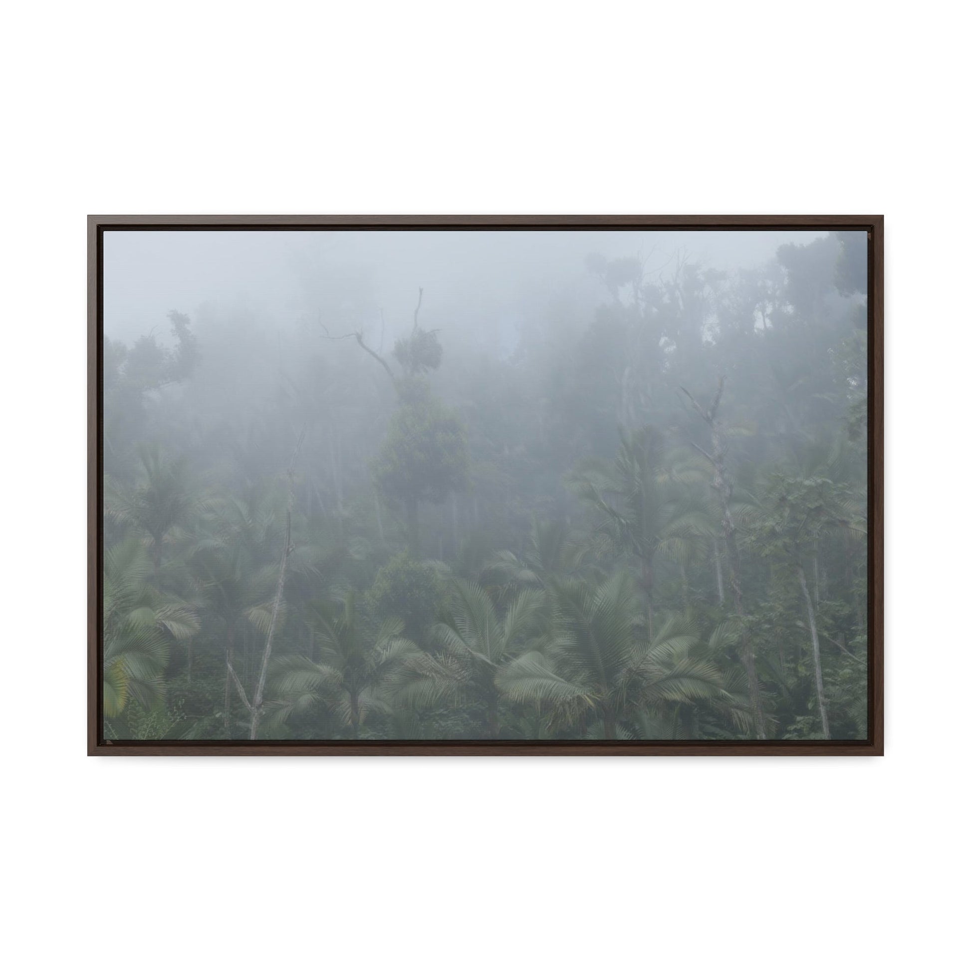 Rainforest Trails & Views - Gallery Canvas Wraps, Horizontal Frame - El Yunque National Forest - Puerto Rico - Fog and rain pummel the Rio Sabana park - Green Forest Home