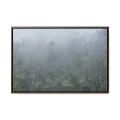 Rainforest Trails & Views - Gallery Canvas Wraps, Horizontal Frame - El Yunque National Forest - Puerto Rico - Fog and rain pummel the Rio Sabana park - Green Forest Home
