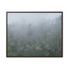 Rainforest Trails & Views - Gallery Canvas Wraps, Horizontal Frame - El Yunque National Forest - Puerto Rico - Fog and rain pummel the Rio Sabana park - Green Forest Home