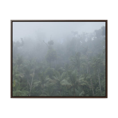 Rainforest Trails & Views - Gallery Canvas Wraps, Horizontal Frame - El Yunque National Forest - Puerto Rico - Fog and rain pummel the Rio Sabana park - Green Forest Home