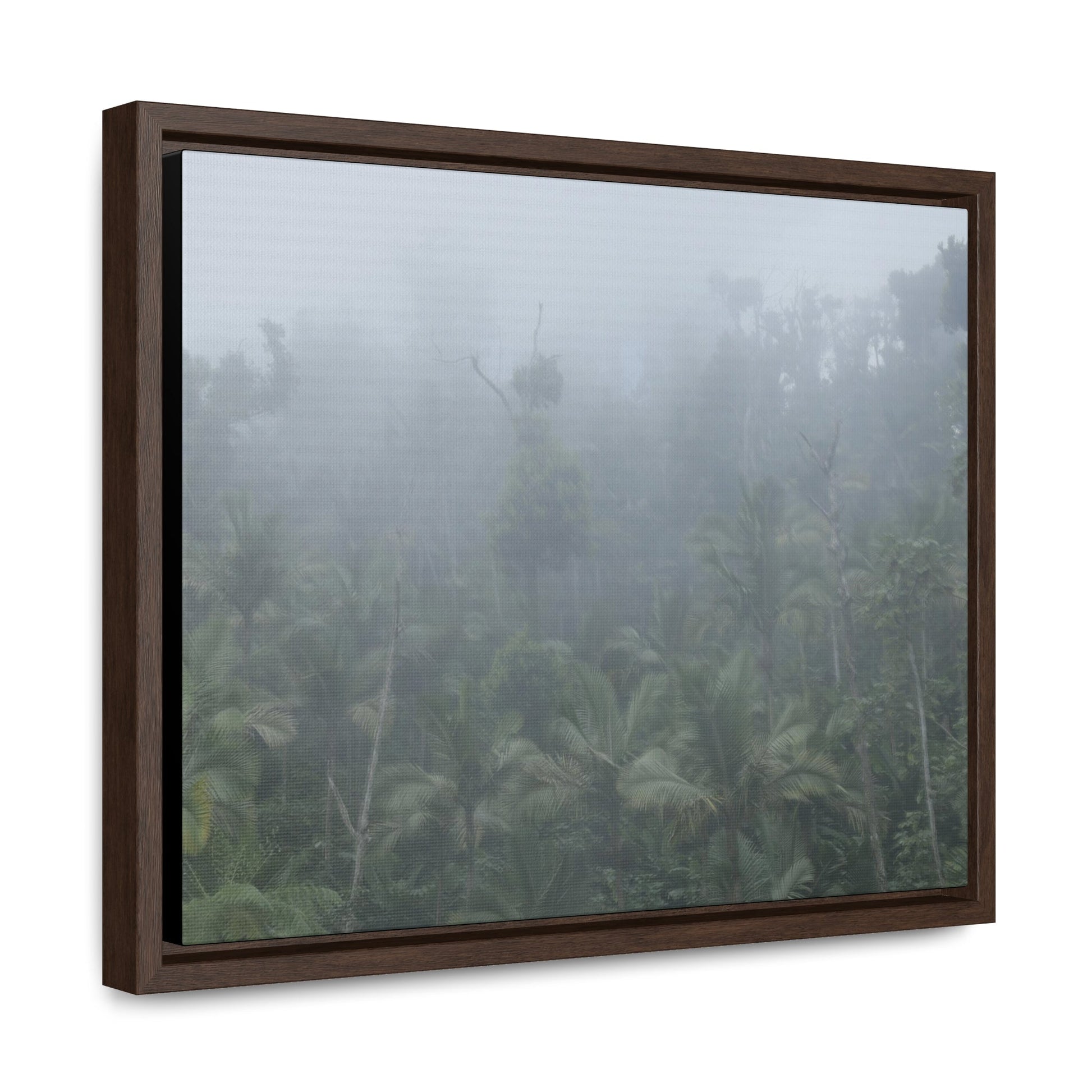 Rainforest Trails & Views - Gallery Canvas Wraps, Horizontal Frame - El Yunque National Forest - Puerto Rico - Fog and rain pummel the Rio Sabana park - Green Forest Home