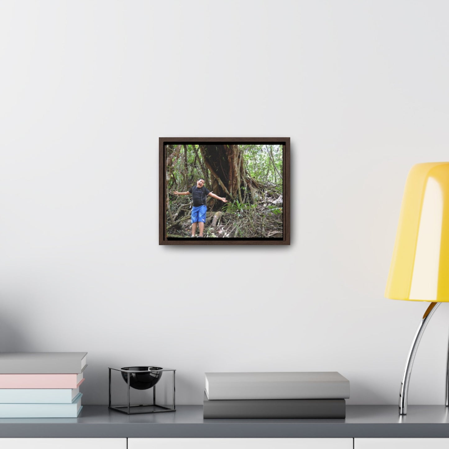 Rainforest Trails & Views - Gallery Canvas Wraps, Horizontal Frame - El Yunque National Forest - Puerto Rico - Jose next to Holy Spirit river huge Red Tree - Green Forest Home